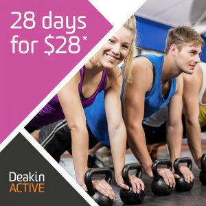 28 Days for $28 Promotional Offer