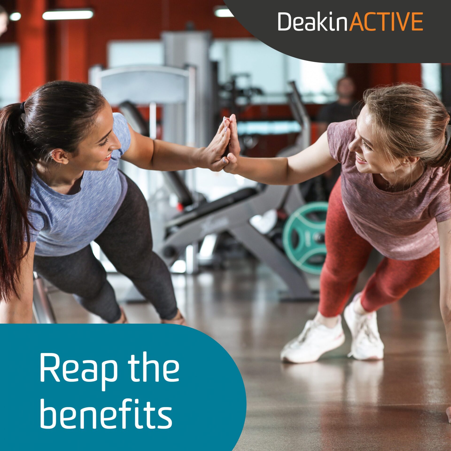 6 Benefits of Joining a Gym With a Friend - DeakinACTIVE